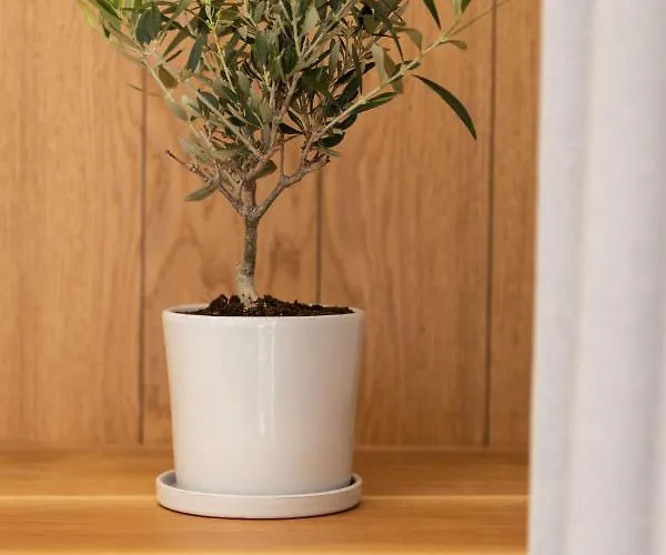 Casa Blue Marine, Philian Collection 公寓